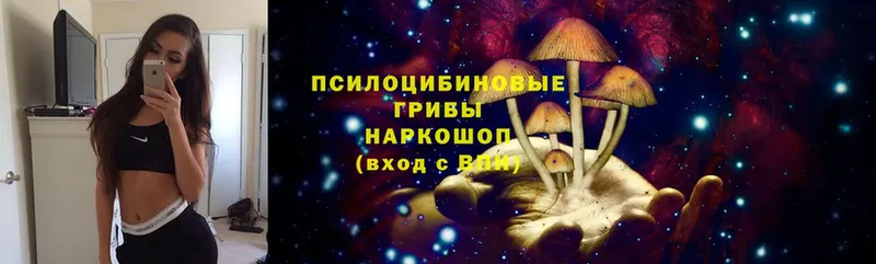 гидра вход  что такое   Менделеевск  Псилоцибиновые грибы MAGIC MUSHROOMS 